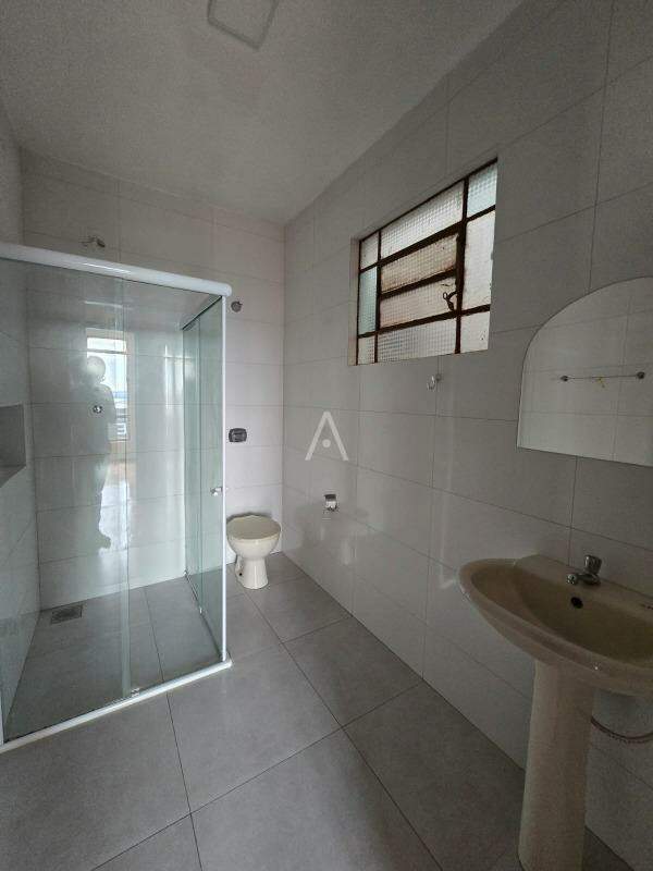 Apartamento para para aluguel no Bairro CENTRO em TOLEDO: 
