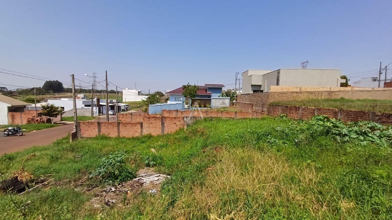 Terreno para à venda no Bairro UNIVERSITARIO em CASCAVEL: 