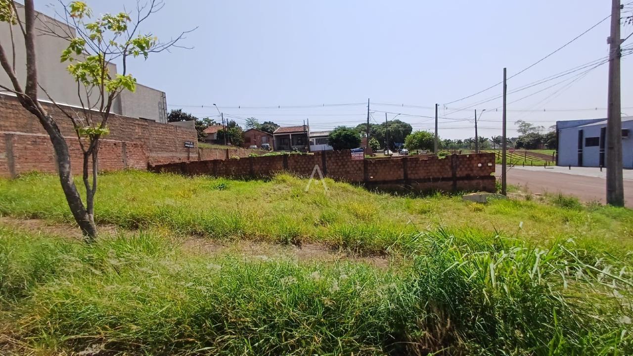 Terreno para à venda no Bairro UNIVERSITARIO em CASCAVEL: 
