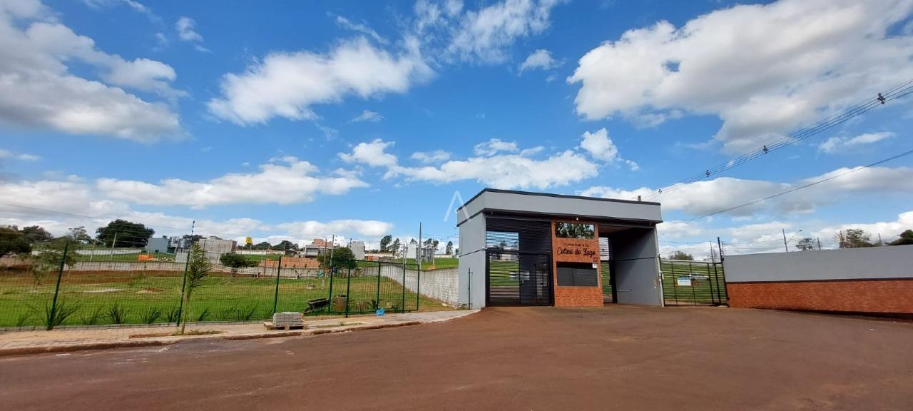 Terreno para à venda no Bairro UNIVERSITARIO em CASCAVEL: