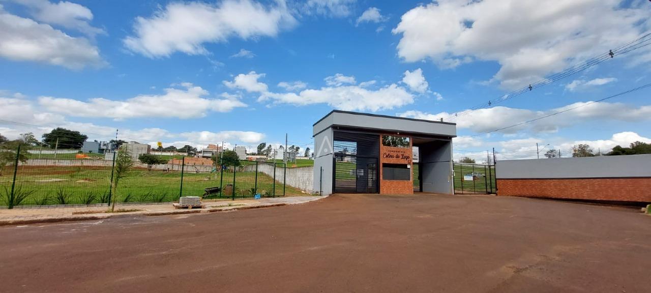 Terreno para à venda no Bairro UNIVERSITARIO em CASCAVEL: 