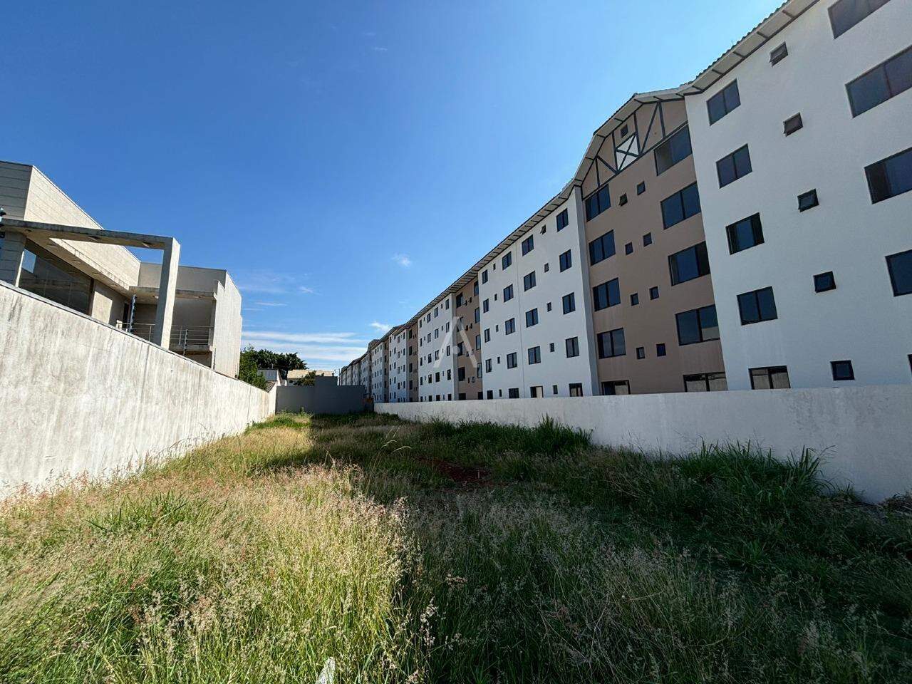 Terreno para para aluguel no Bairro ROMA em CASCAVEL: 