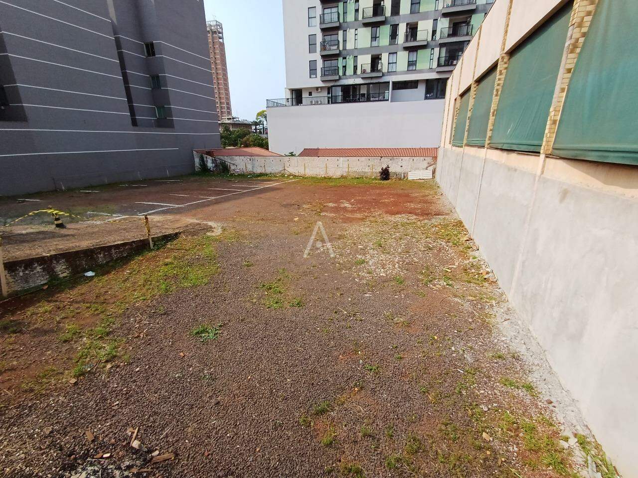 Terreno para para aluguel no Bairro CENTRO em CASCAVEL: 