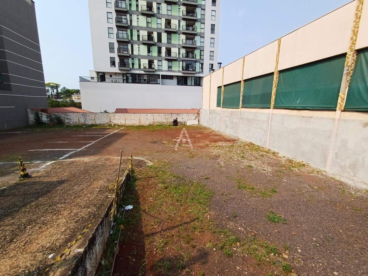 Terreno para para aluguel no Bairro CENTRO em CASCAVEL: 