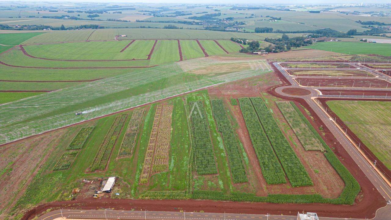 Terreno para à venda no Bairro BIOPARK em TOLEDO: