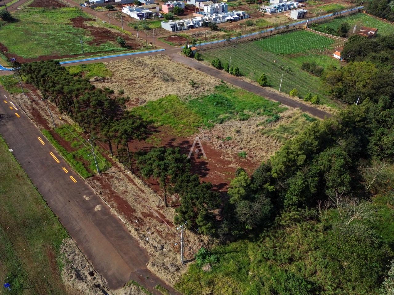Terreno para à venda no Bairro SANTA TEREZA em SANTA TEREZA DO OESTE: 