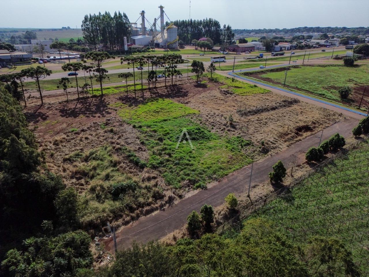 Terreno para à venda no Bairro SANTA TEREZA em SANTA TEREZA DO OESTE: 