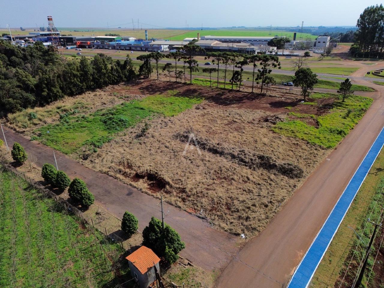 Terreno para à venda no Bairro SANTA TEREZA em SANTA TEREZA DO OESTE: 