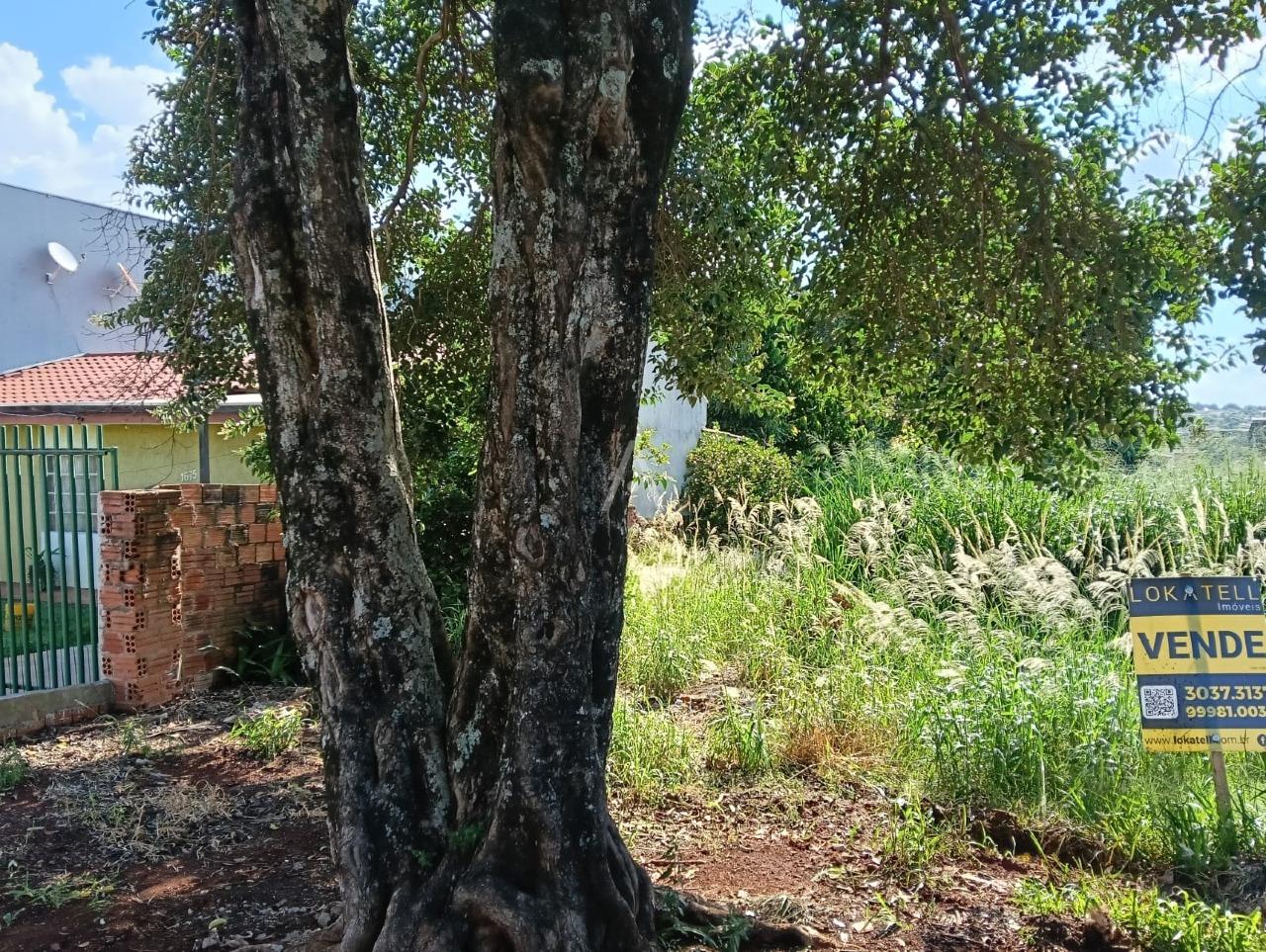 Terreno para à venda no Bairro FLORESTA em CASCAVEL: 