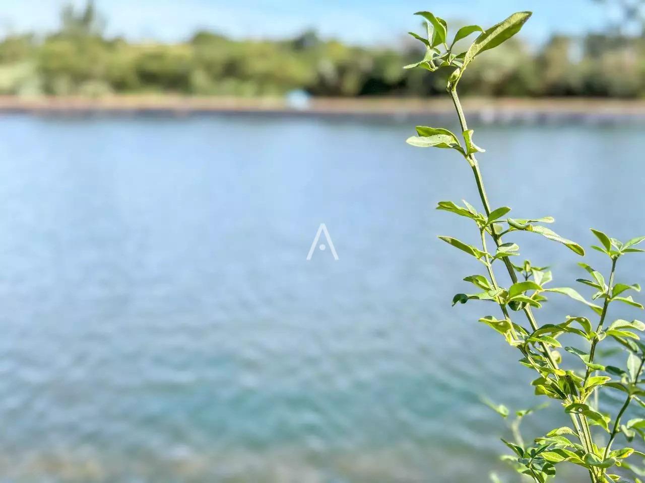 Terreno para à venda no Bairro SANTA TEREZA em SANTA TEREZA DO OESTE: 