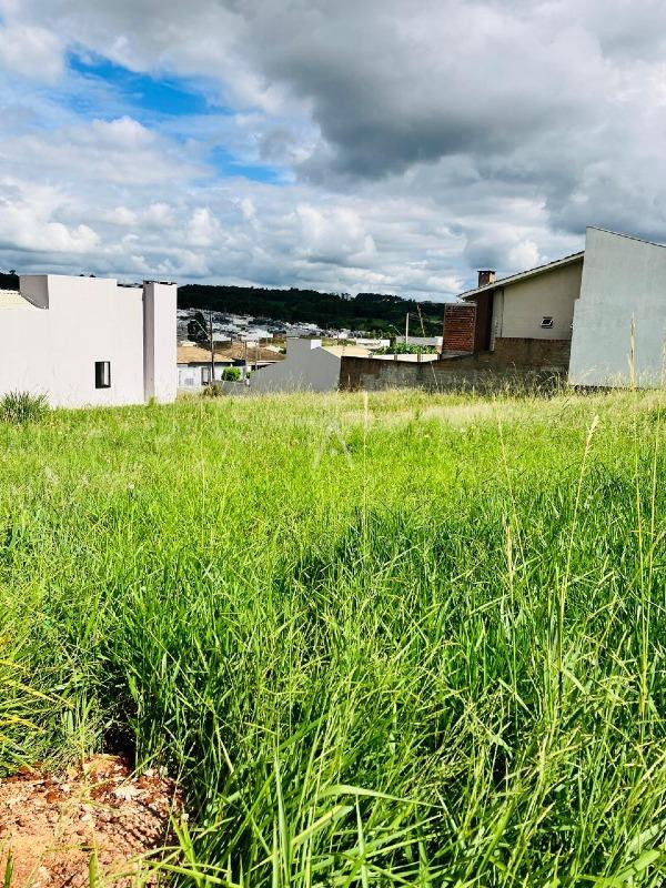 Terreno para à venda no Bairro FLORESTA em CASCAVEL: 