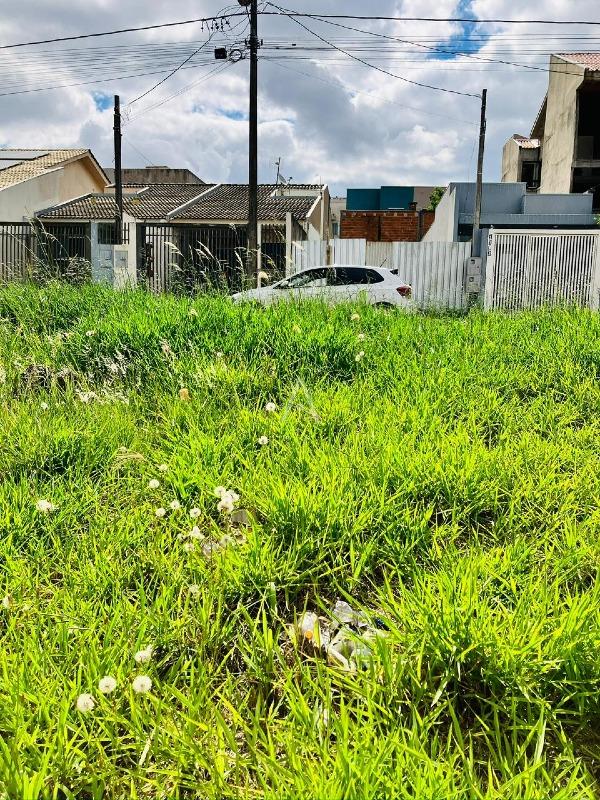 Terreno para à venda no Bairro FLORESTA em CASCAVEL: 