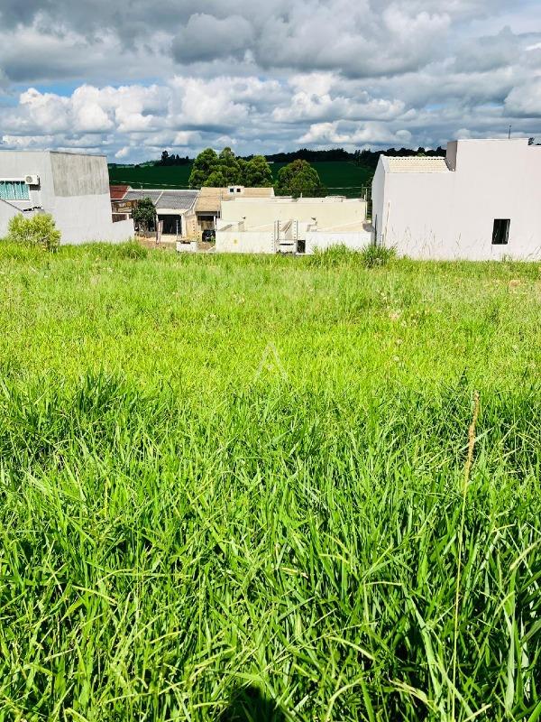 Terreno para à venda no Bairro FLORESTA em CASCAVEL: