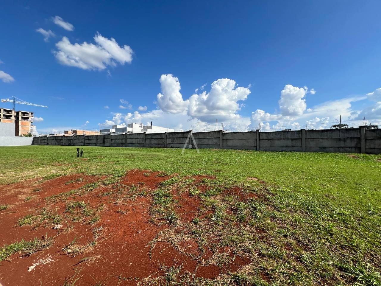 Terreno para à venda no Bairro CANCELLI em CASCAVEL: