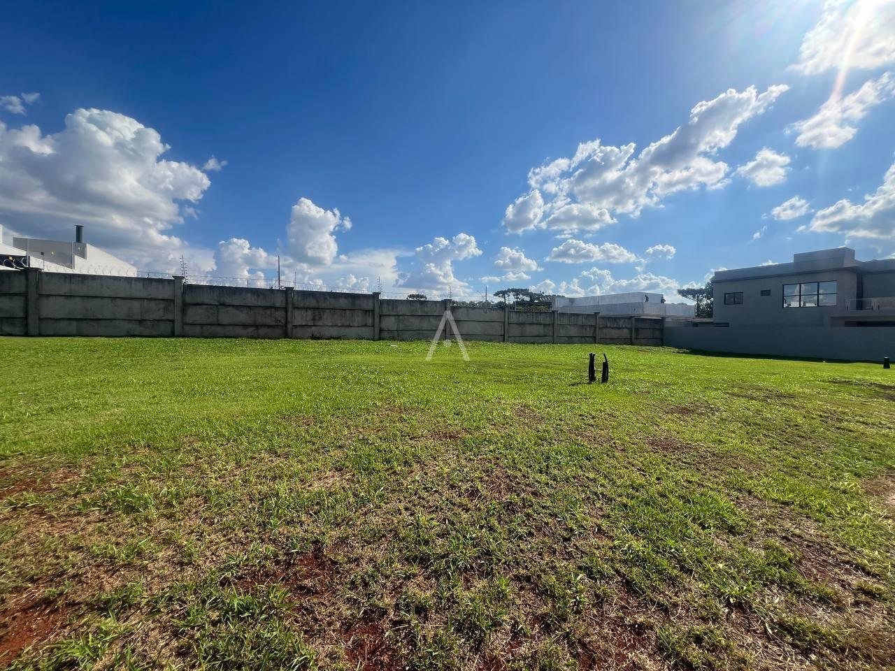 Terreno para à venda no Bairro CANCELLI em CASCAVEL: