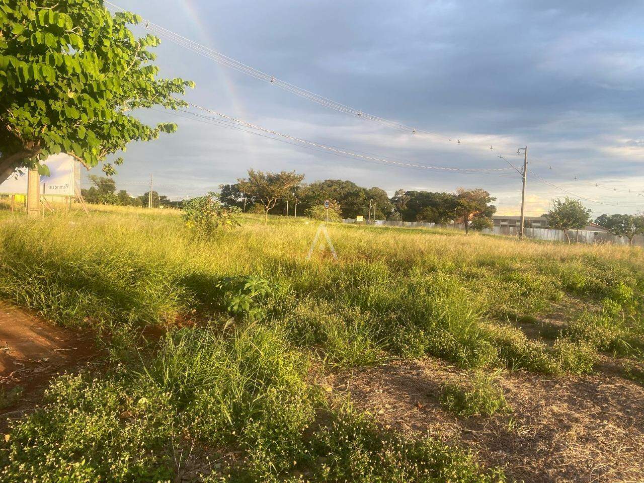 Terreno para à venda no Bairro VILA BECKER em TOLEDO: