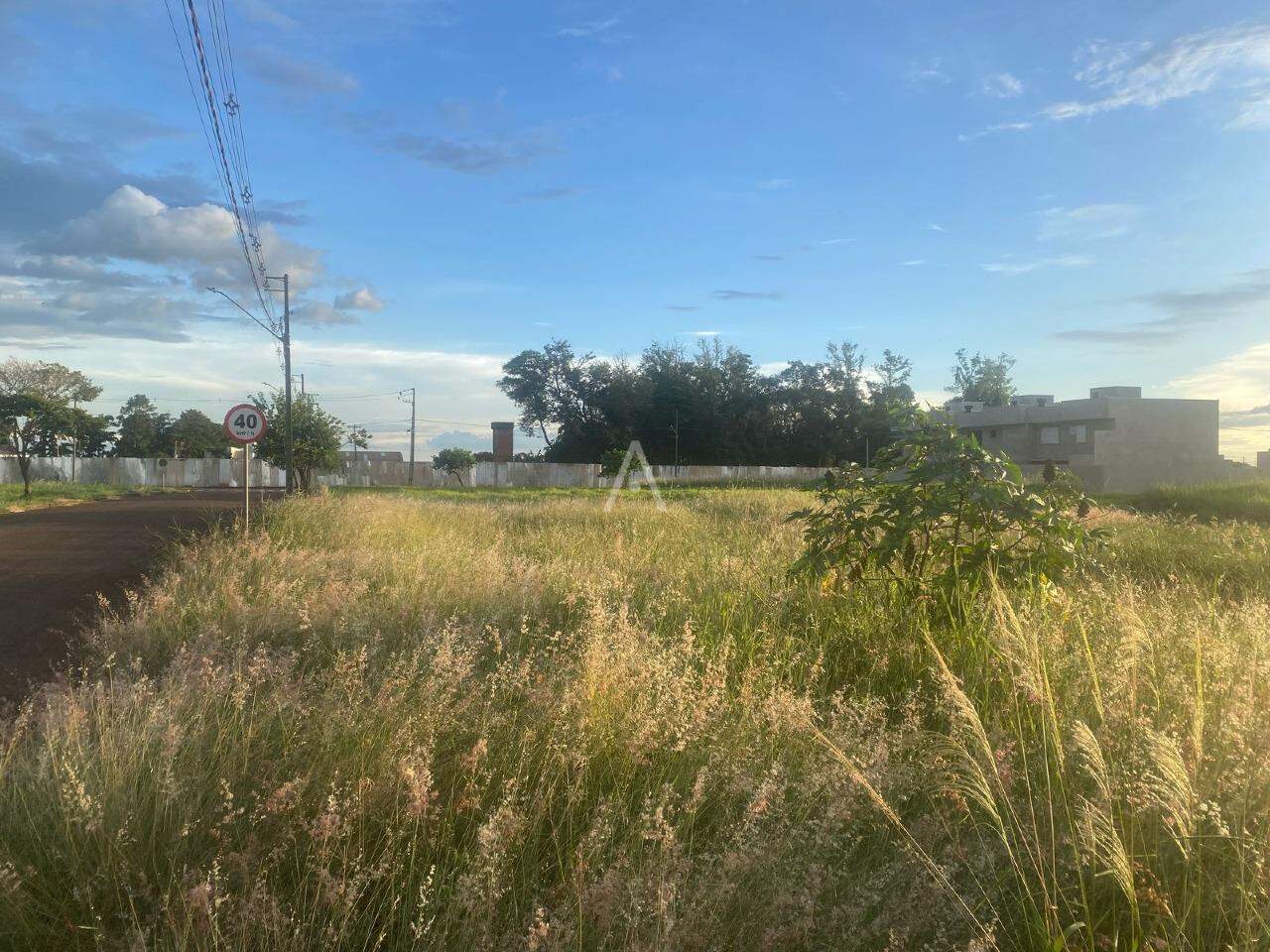 Terreno para à venda no Bairro VILA BECKER em TOLEDO: