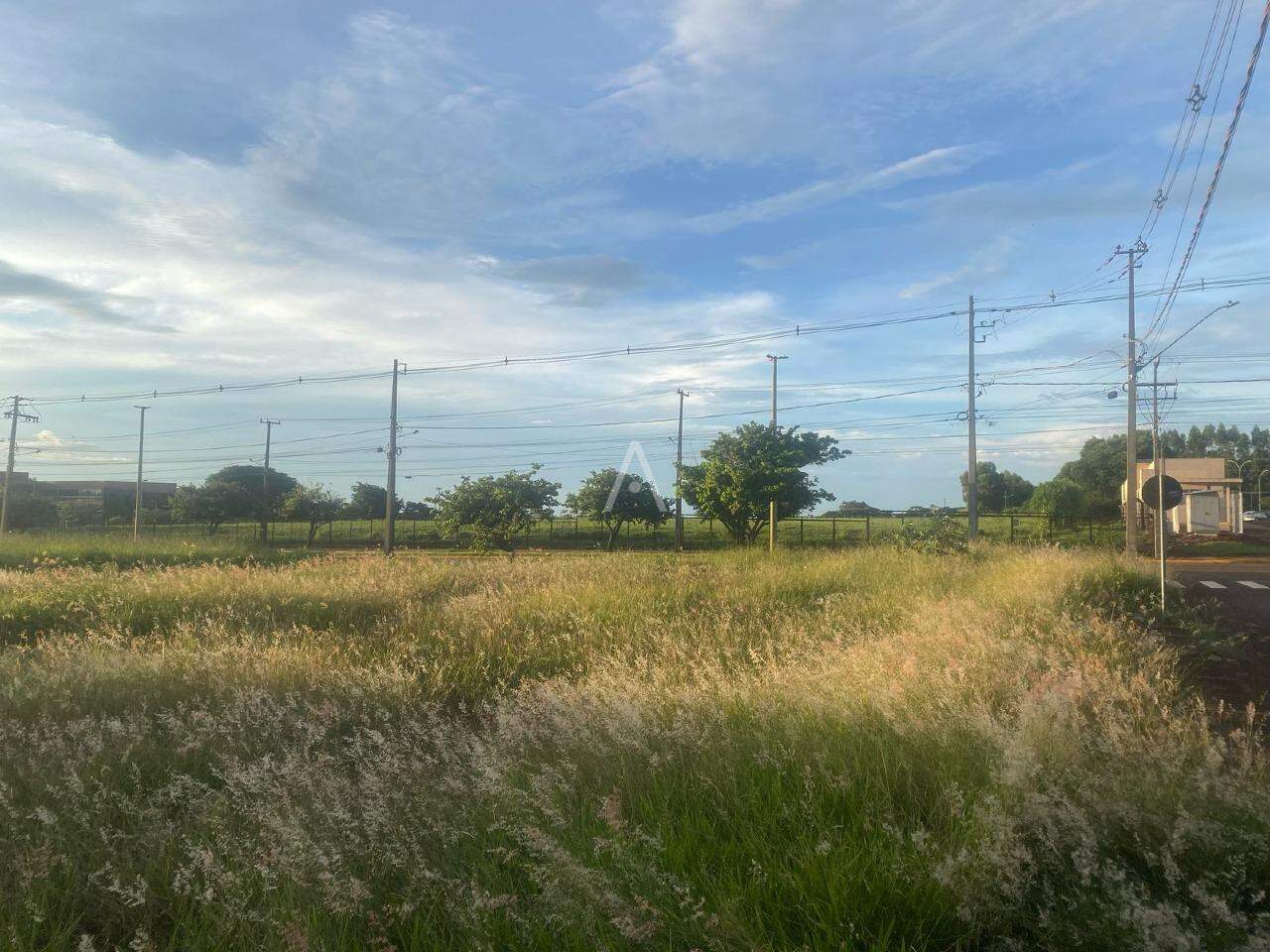 Terreno para à venda no Bairro VILA BECKER em TOLEDO: