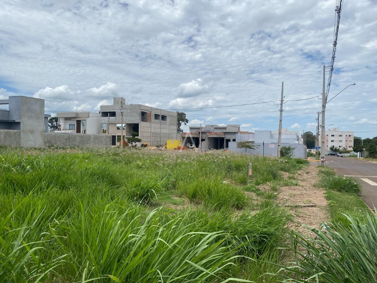Terreno para à venda no Bairro JARDIM CONCORDIA em TOLEDO: 