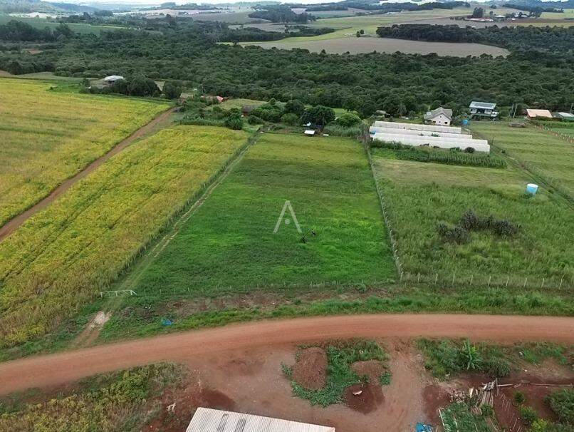 Imóveis Rurais para à venda no Bairro SANTA TEREZA em SANTA TEREZA DO OESTE: 