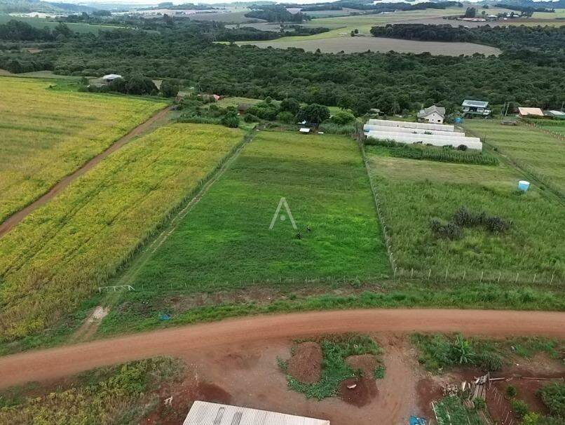 Imóveis Rurais para à venda no Bairro SANTA TEREZA em SANTA TEREZA DO OESTE: 