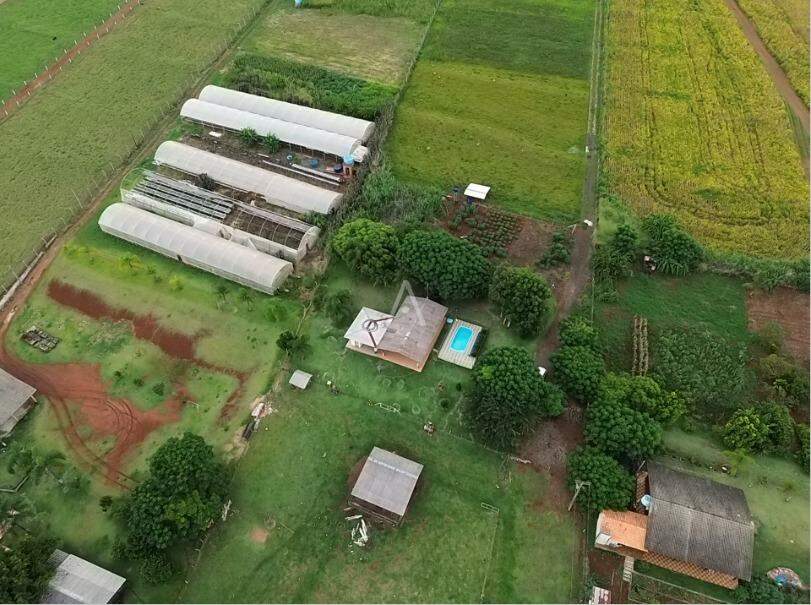 Imóveis Rurais para à venda no Bairro SANTA TEREZA em SANTA TEREZA DO OESTE: 
