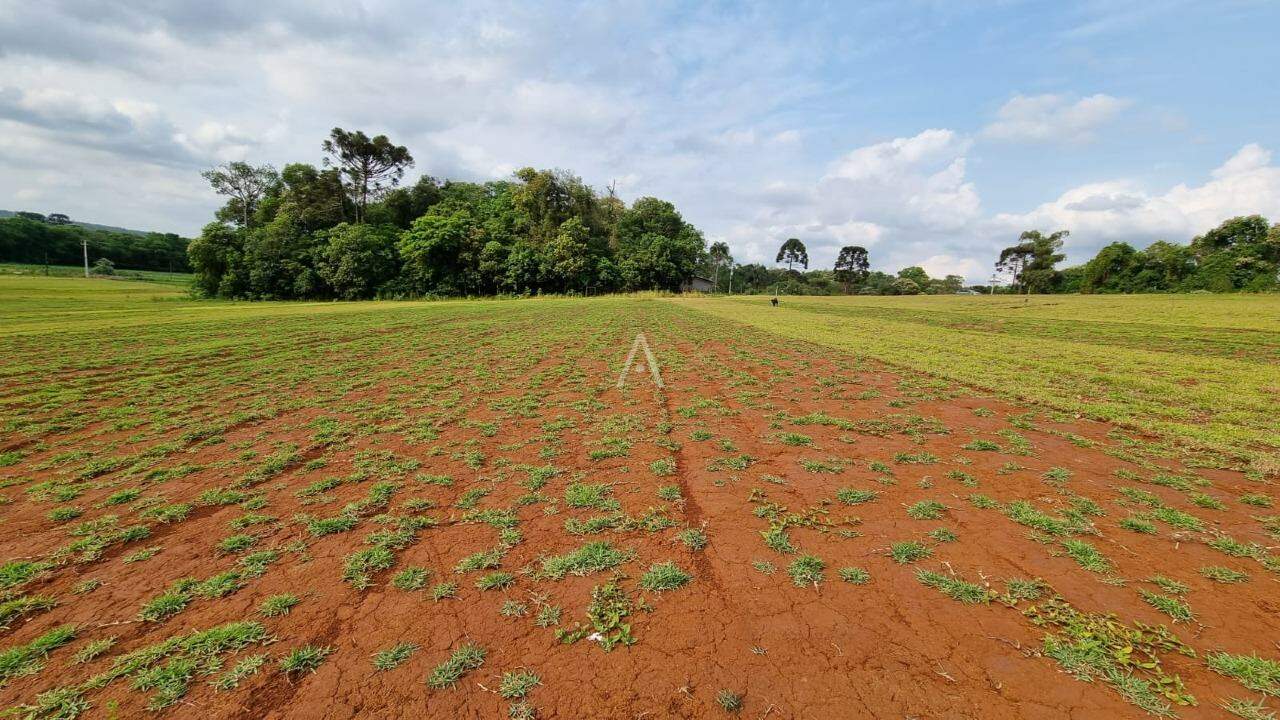 Imóveis Rurais para à venda no Bairro Área Rural de Cascavel em CASCAVEL: 