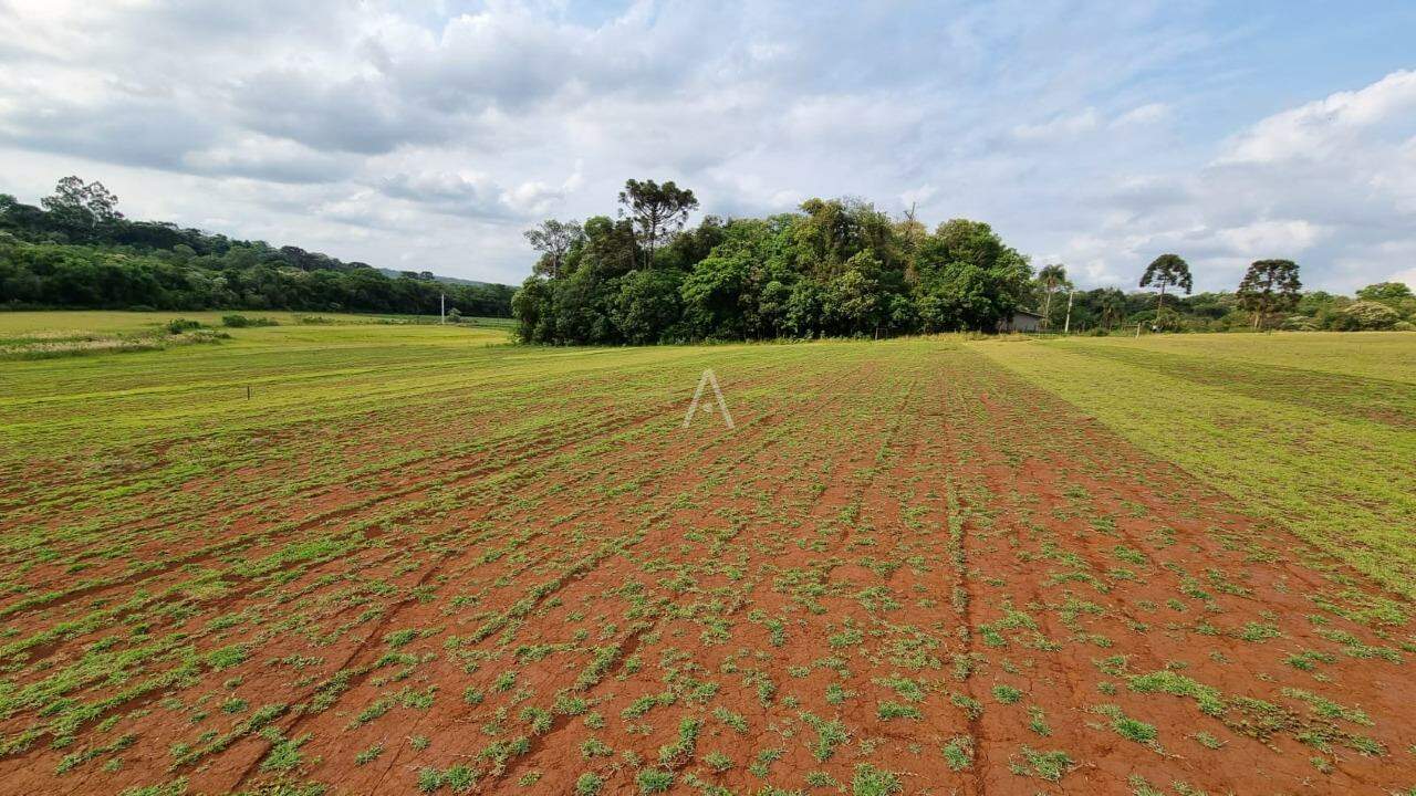 Imóveis Rurais para à venda no Bairro Área Rural de Cascavel em CASCAVEL: 