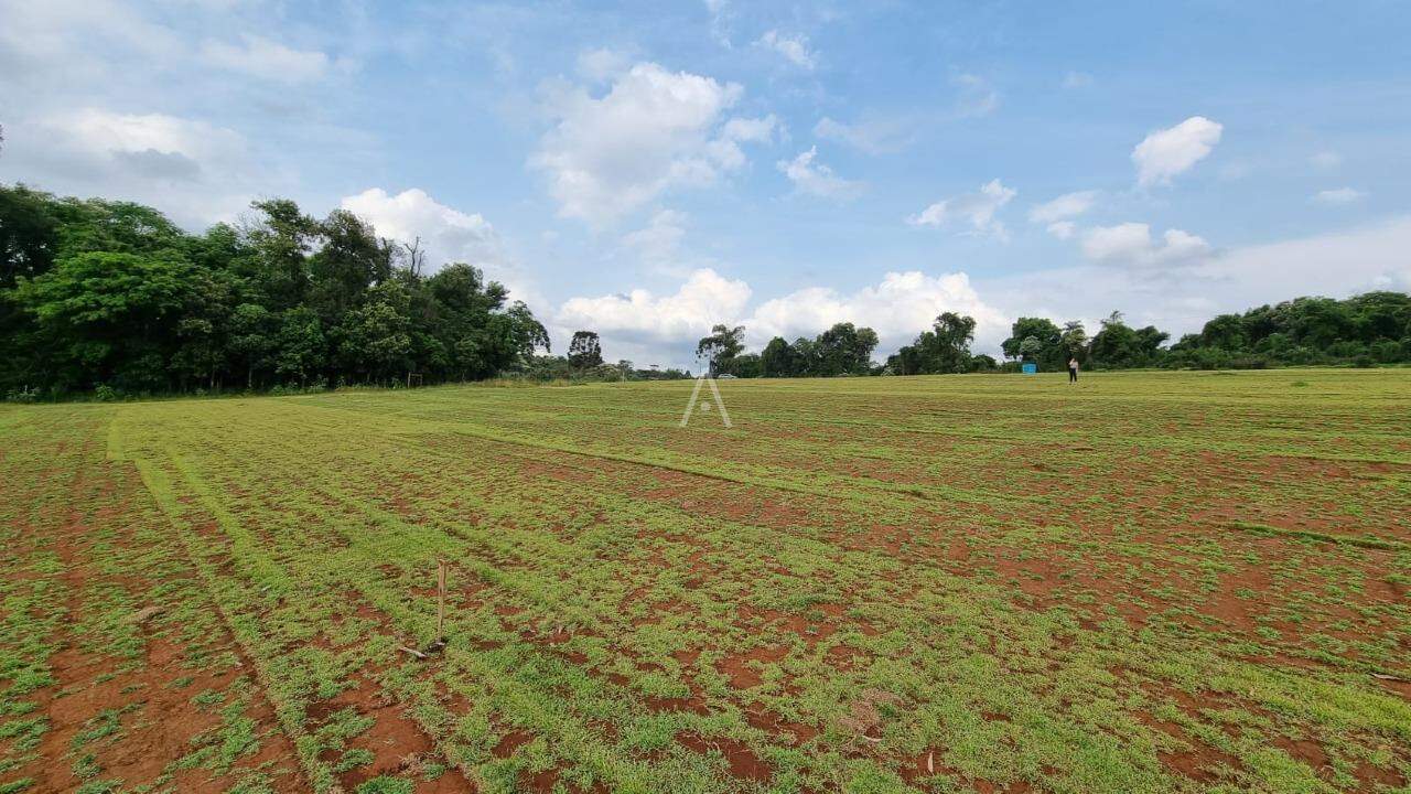 Imóveis Rurais para à venda no Bairro Área Rural de Cascavel em CASCAVEL: