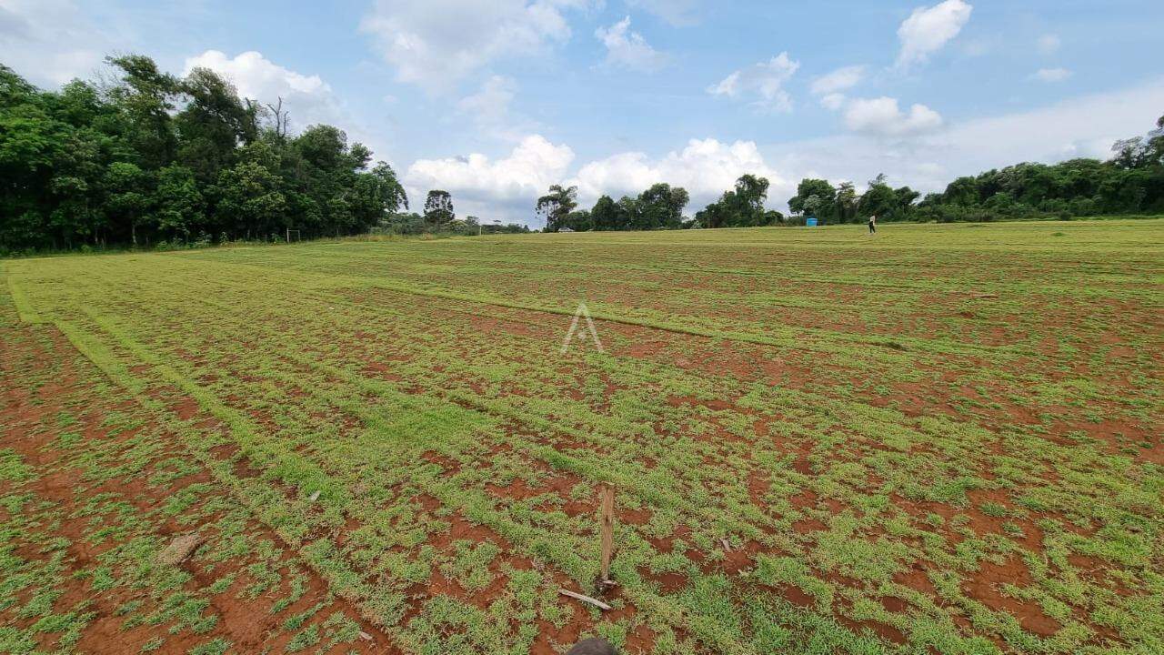 Imóveis Rurais para à venda no Bairro Área Rural de Cascavel em CASCAVEL: 