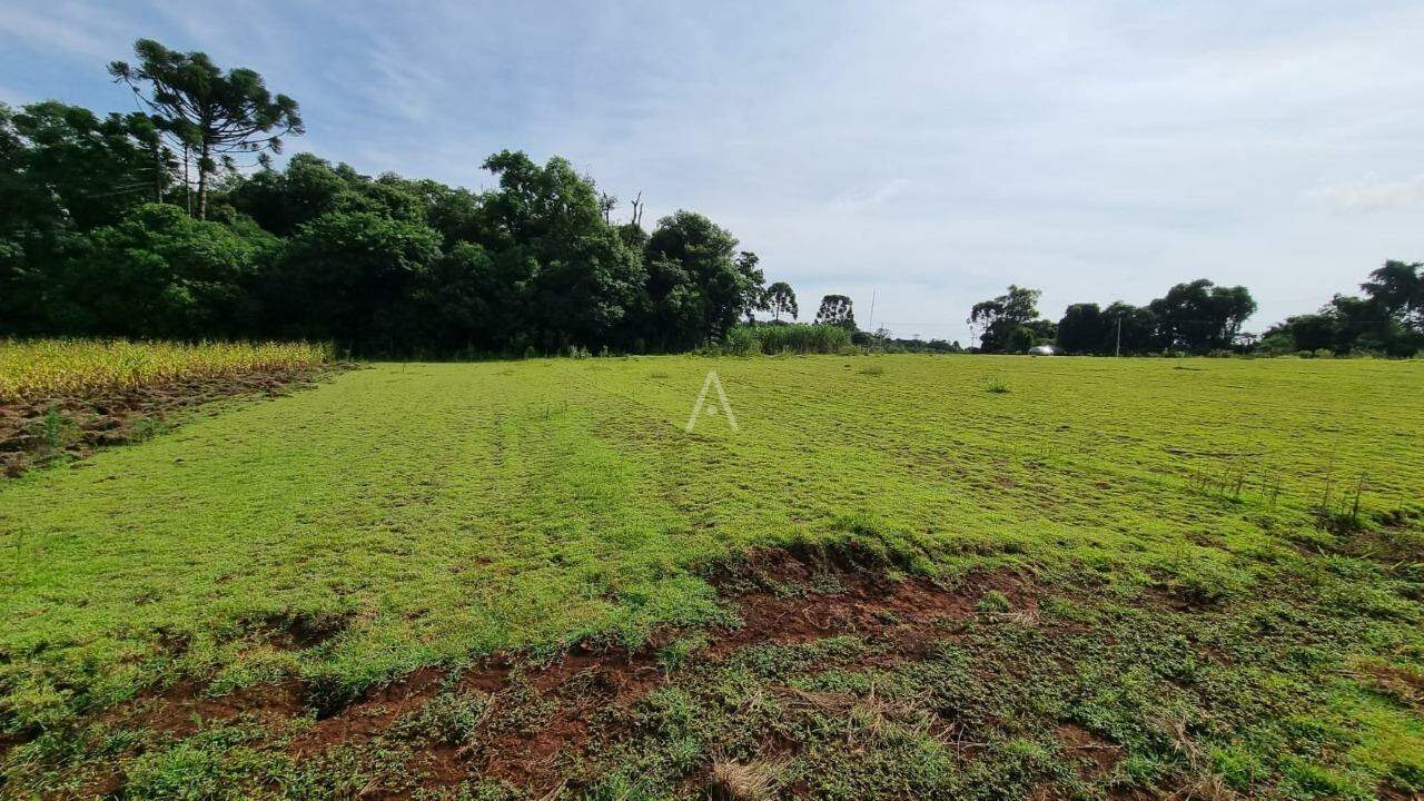 Imóveis Rurais para à venda no Bairro Área Rural de Cascavel em CASCAVEL: