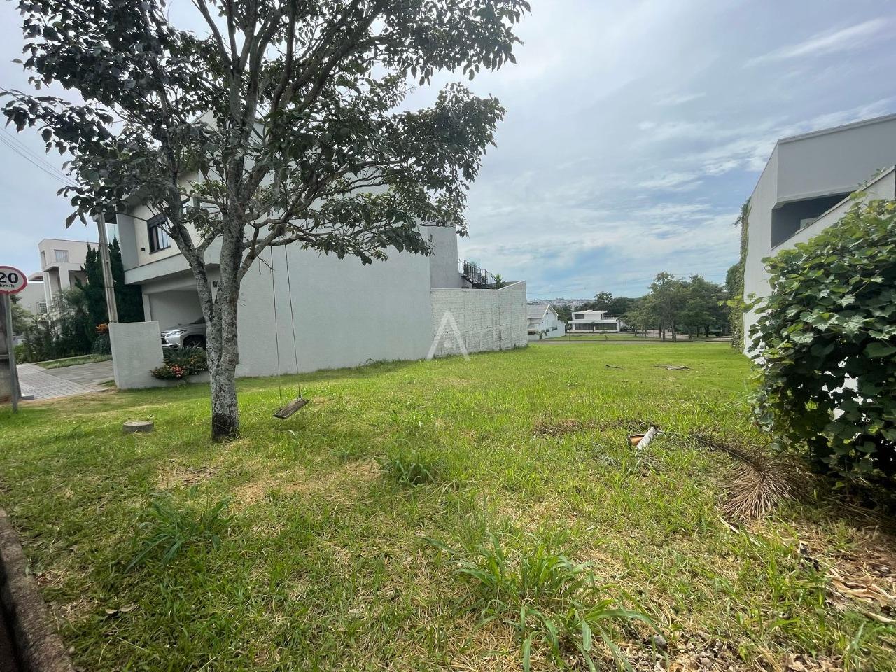 Terreno para à venda no Bairro ALTO ALEGRE em CASCAVEL: 