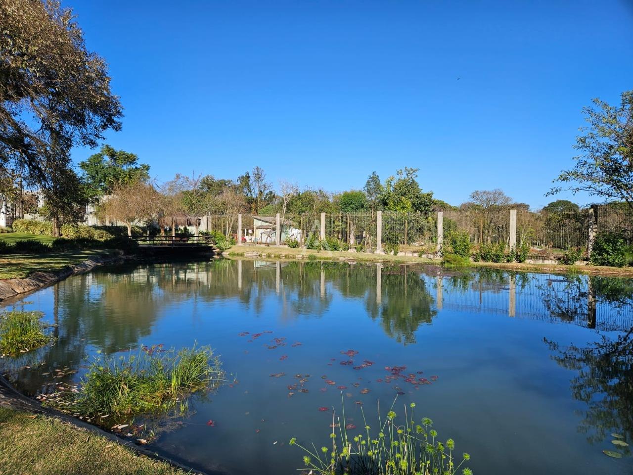 Terreno para à venda no Bairro ALTO ALEGRE em CASCAVEL: 