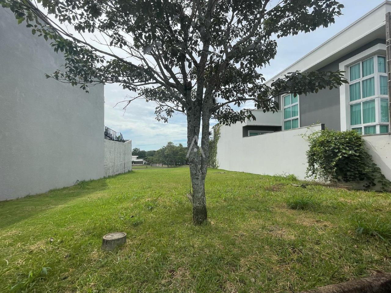 Terreno para à venda no Bairro ALTO ALEGRE em CASCAVEL: 