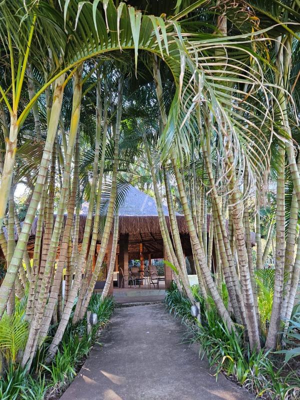 Terreno para à venda no Bairro ALTO ALEGRE em CASCAVEL: 