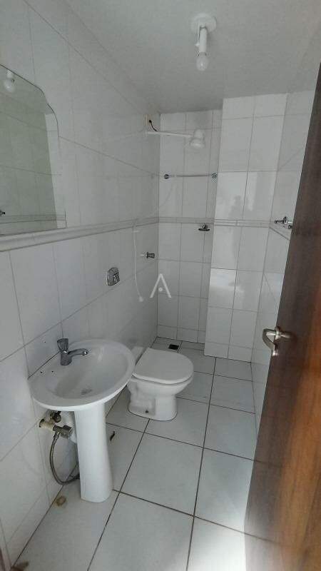 Apartamento para para aluguel no Bairro CENTRO em TOLEDO: 