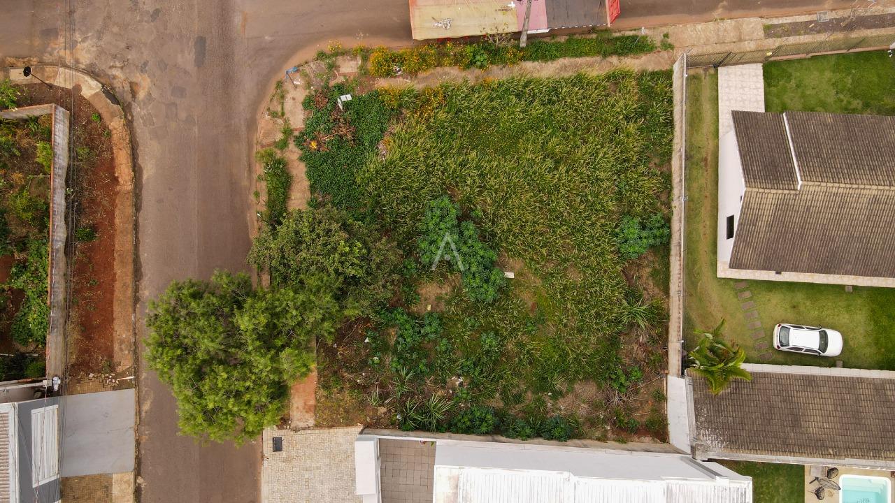 Terreno para à venda no Bairro UNIVERSITARIO em CASCAVEL: