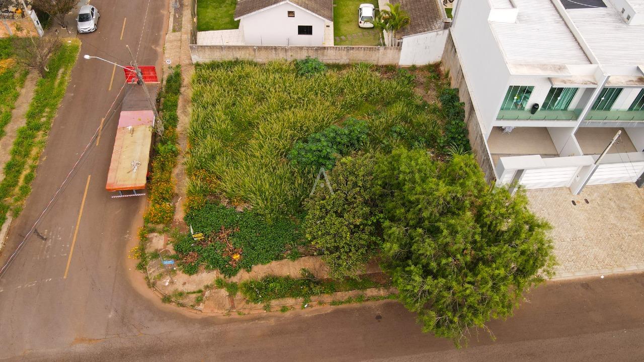 Terreno para à venda no Bairro UNIVERSITARIO em CASCAVEL: 