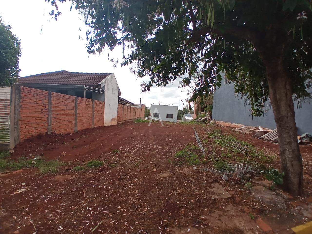 Terreno para à venda no Bairro SAO FRANCISCO em TOLEDO: