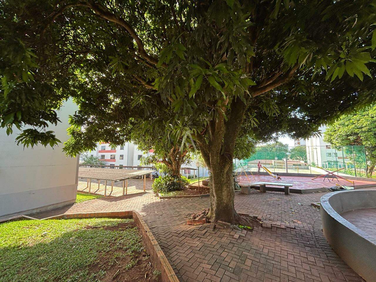 Apartamento para para aluguel no Bairro CENTRO em CASCAVEL: