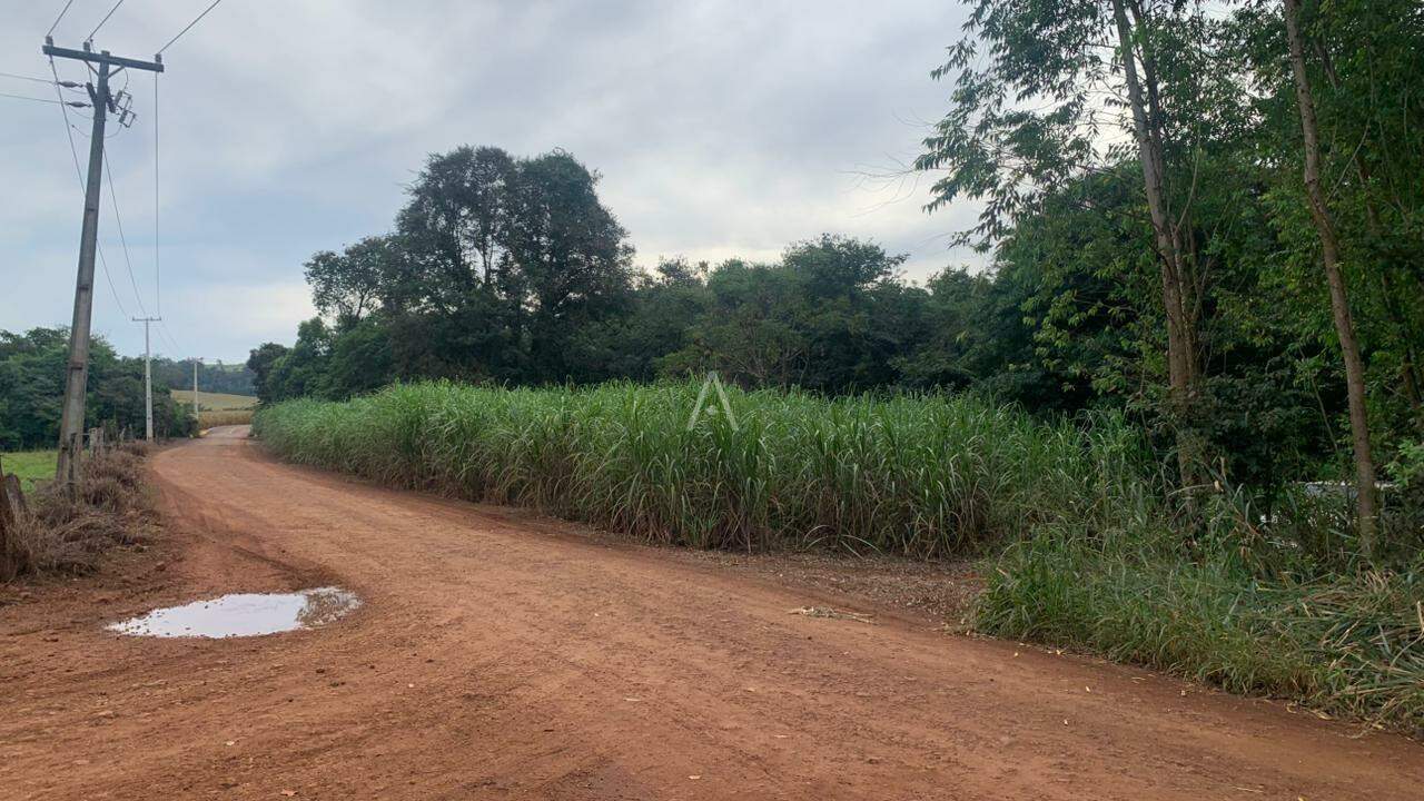 Imóveis Rurais para à venda no Bairro Área Rural de Toledo em TOLEDO: 