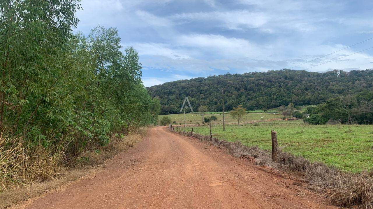 Imóveis Rurais para à venda no Bairro Área Rural de Toledo em TOLEDO: 