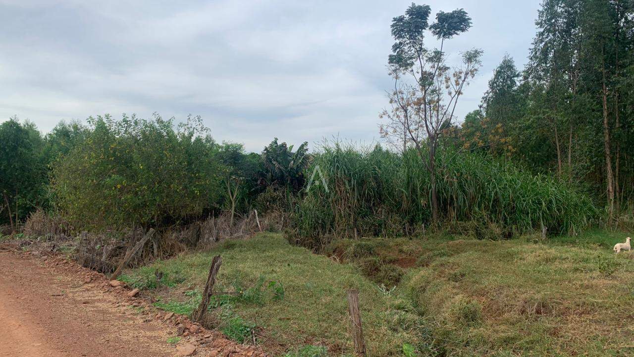 Imóveis Rurais para à venda no Bairro Área Rural de Toledo em TOLEDO: 