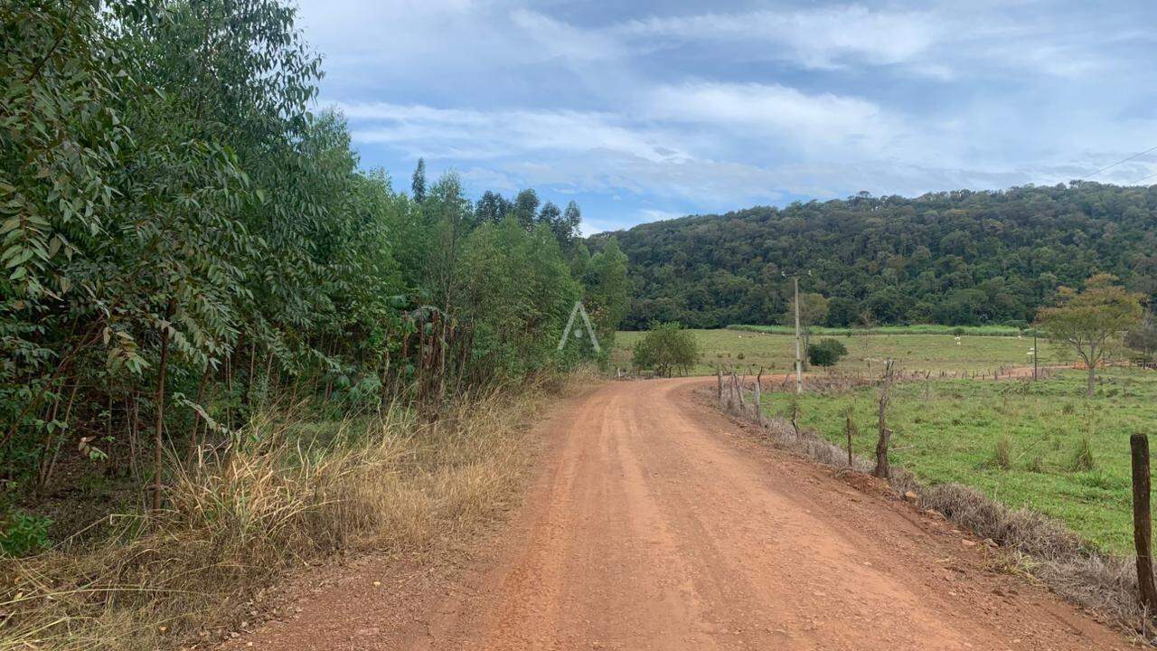 Imóveis Rurais para à venda no Bairro Área Rural de Toledo em TOLEDO: 