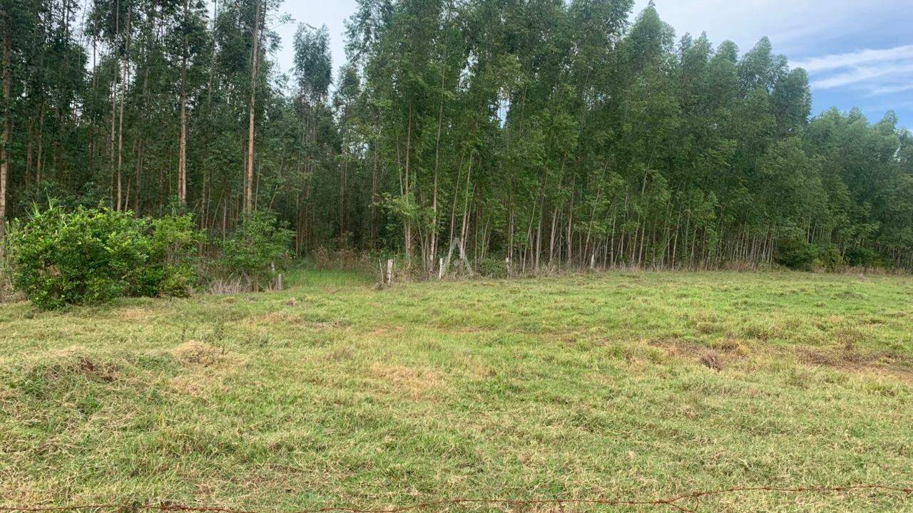 Imóveis Rurais para à venda no Bairro Área Rural de Toledo em TOLEDO: 