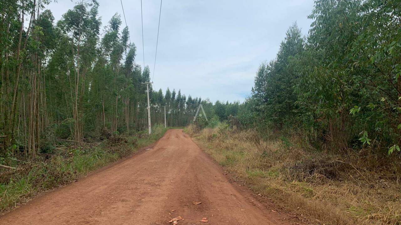 Imóveis Rurais para à venda no Bairro Área Rural de Toledo em TOLEDO: 