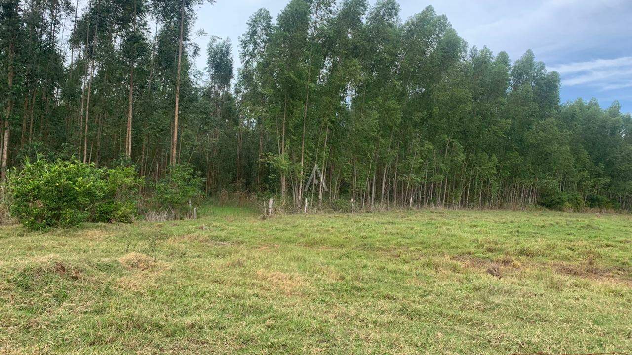 Imóveis Rurais para à venda no Bairro Área Rural de Toledo em TOLEDO: 