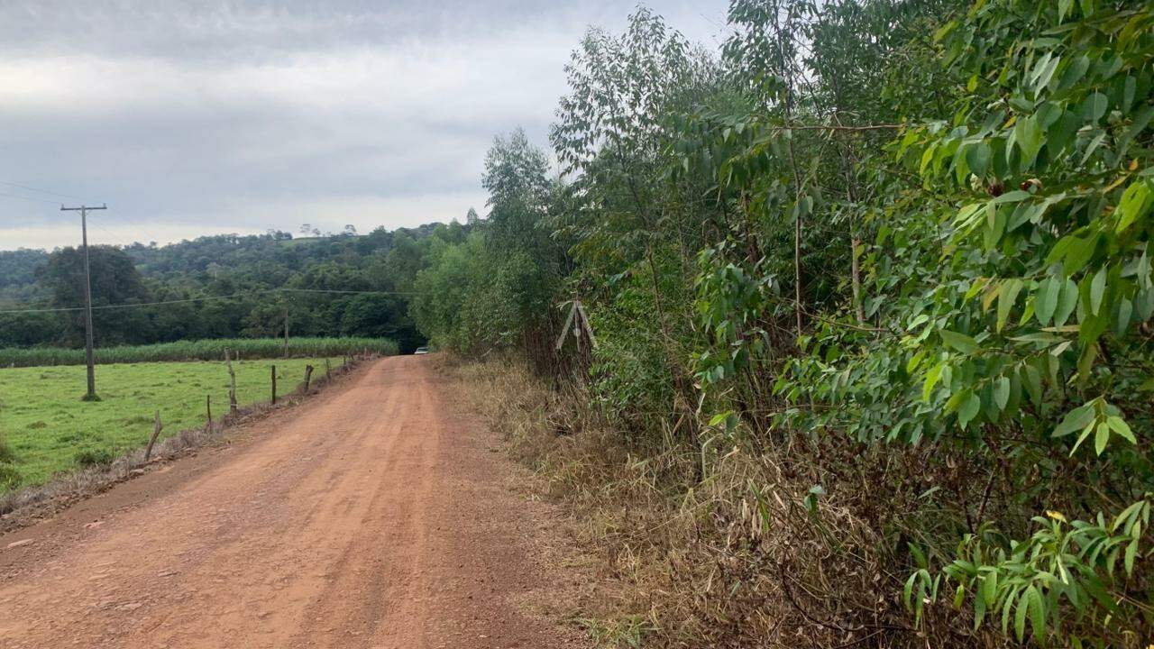 Imóveis Rurais para à venda no Bairro Área Rural de Toledo em TOLEDO: 