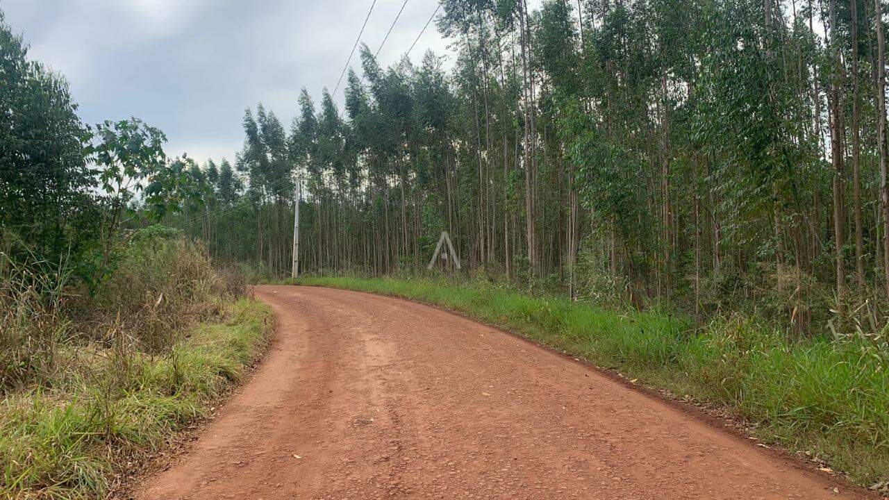 Imóveis Rurais para à venda no Bairro Área Rural de Toledo em TOLEDO: