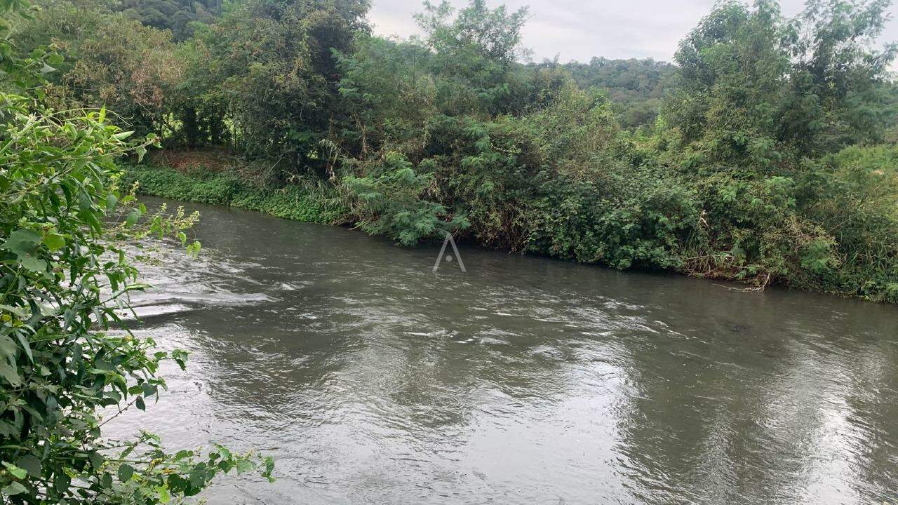 Imóveis Rurais para à venda no Bairro Área Rural de Toledo em TOLEDO: 